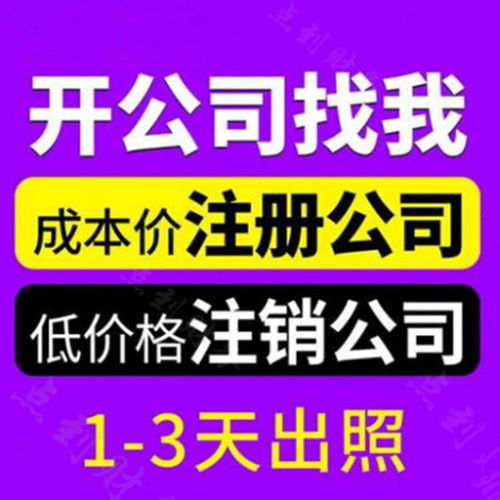 瑤海區(qū)智能代理記賬 高性價比的代理代辦選擇